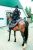 Imperméable d'équitation SEATTLE - Imperméables longs d'équitation