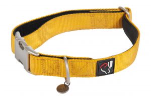Collier chien Anam Cara
