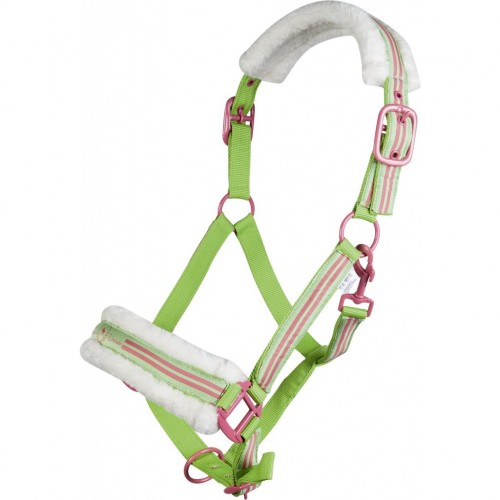 Licol CLASSIC POLO - Licols en nylon