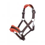 Licol nylon/polaire LILY